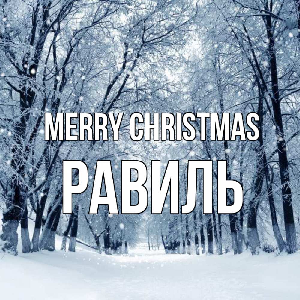 Greetings card с именем, Равиль Merry Christmas снег, лес, парк Greetings with text for free download 