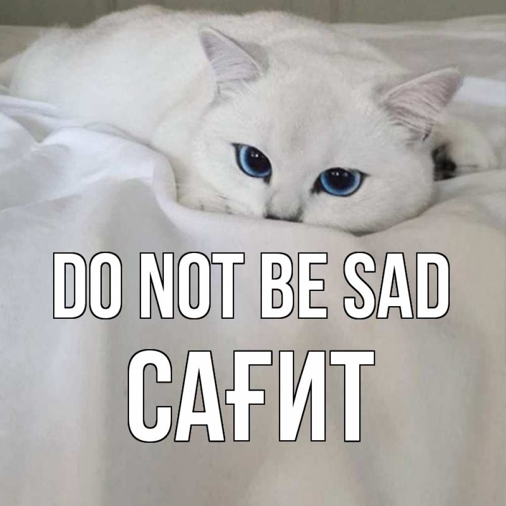 Greetings card с именем, САҒИТ Do not be sad белый кот с голубыми глазами на белоснежной кровати Greetings with text for free download 