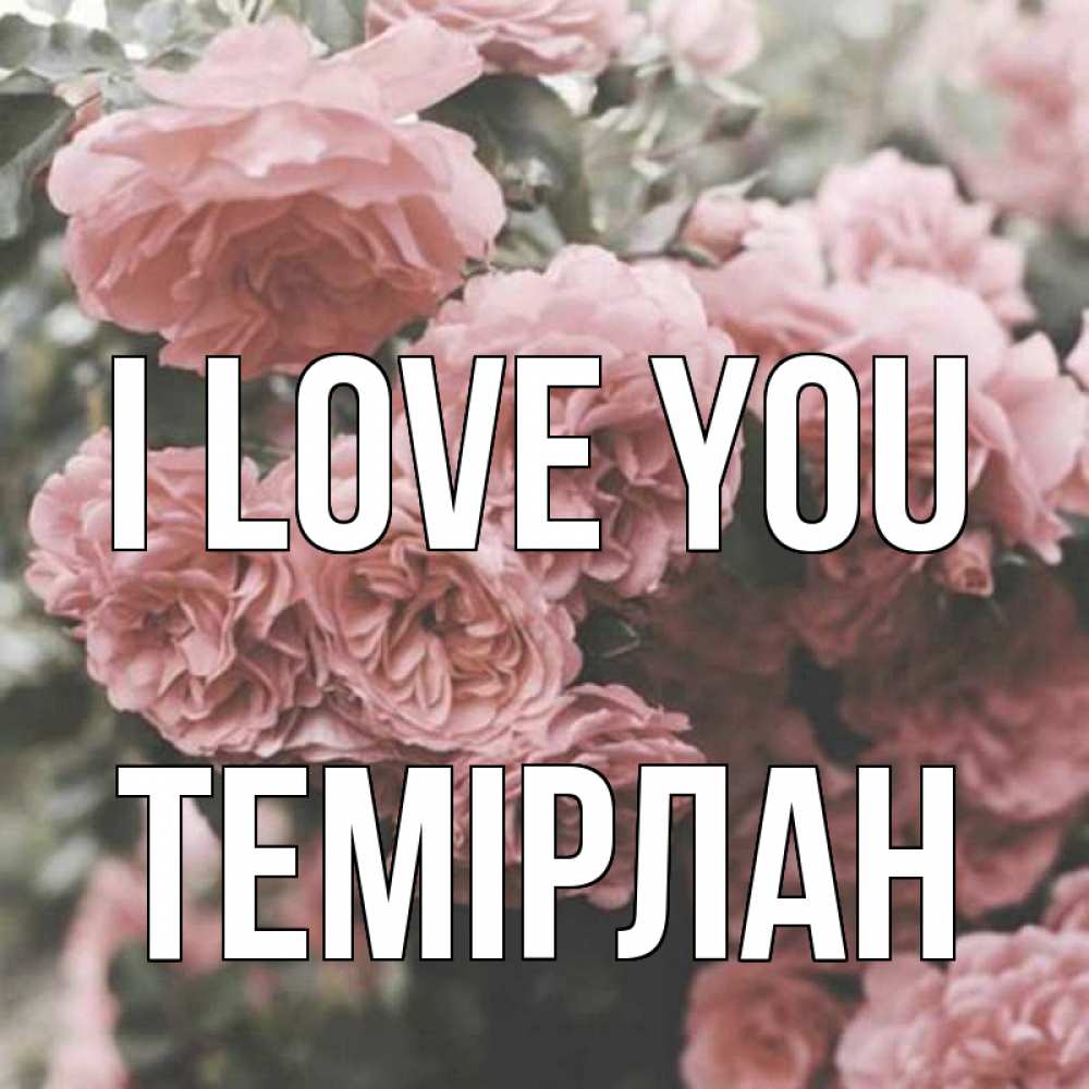 Greetings card с именем, ТЕМІРЛАН I love you розы 3 Greetings with text for free download 