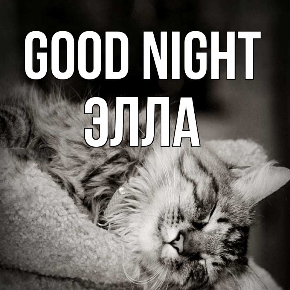 Greetings card с именем, Элла Good night котярик пушистый Greetings with text for free download 