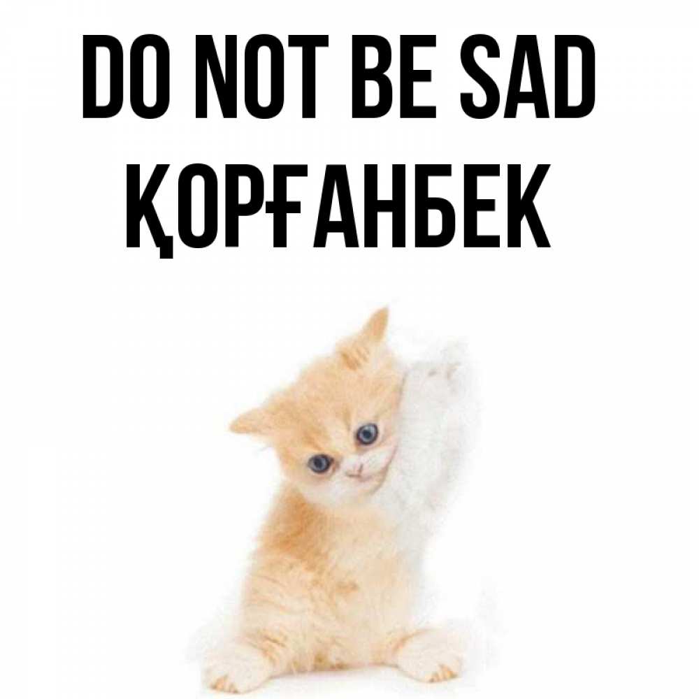 Greetings card с именем, Қорғанбек Do not be sad просящий кот Greetings with text for free download 