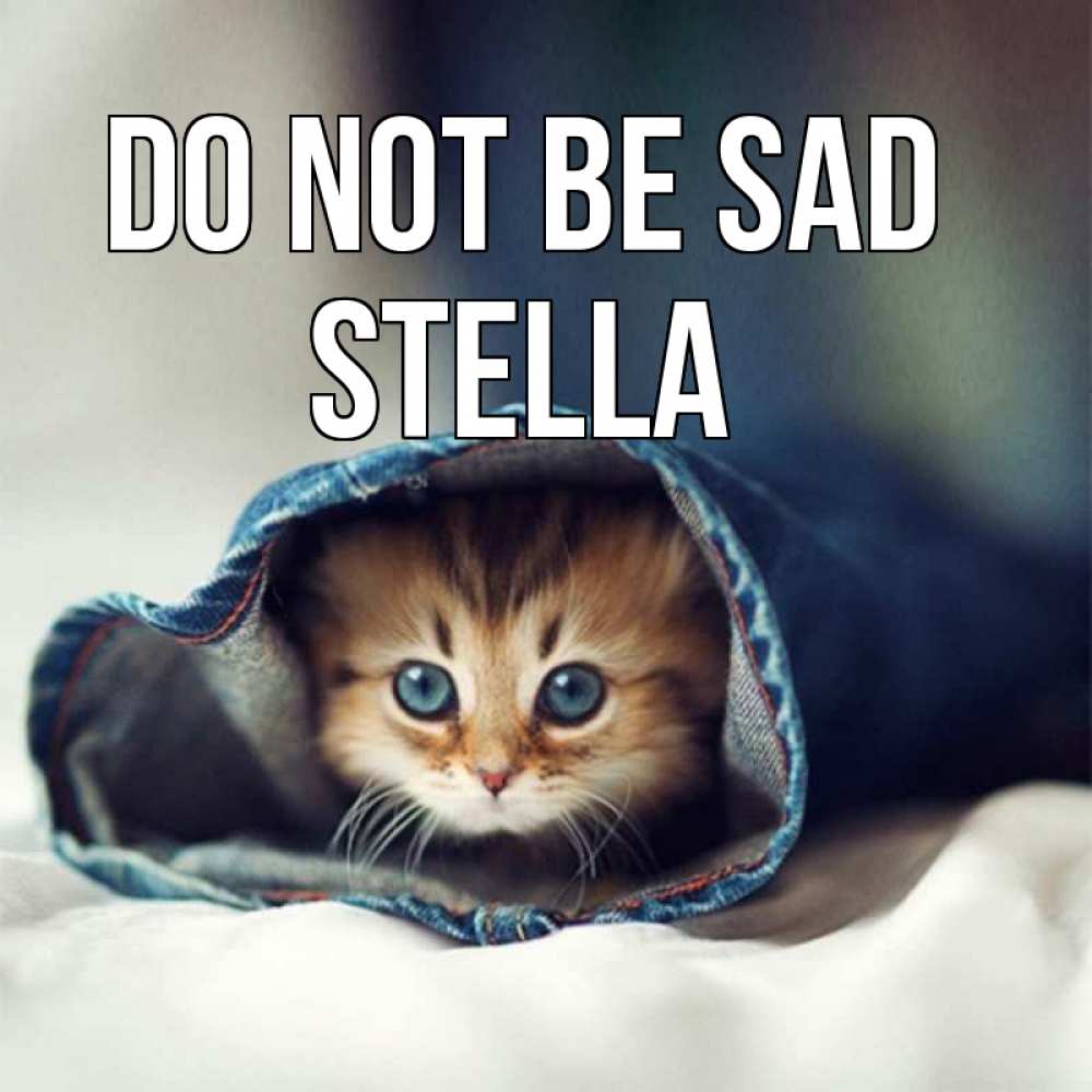 Greetings card с именем, Stella Do not be sad рыжик котик Greetings with text for free download 