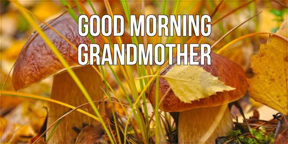 Greetings card с именем, grandmother Good morning осенние грибы Greetings with text for free download 