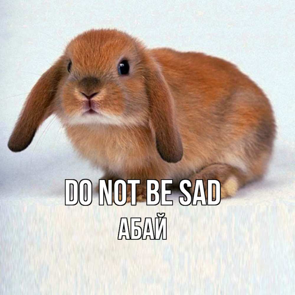 Greetings card с именем, Абай Do not be sad вислоухий рыжий кролик Greetings with text for free download 
