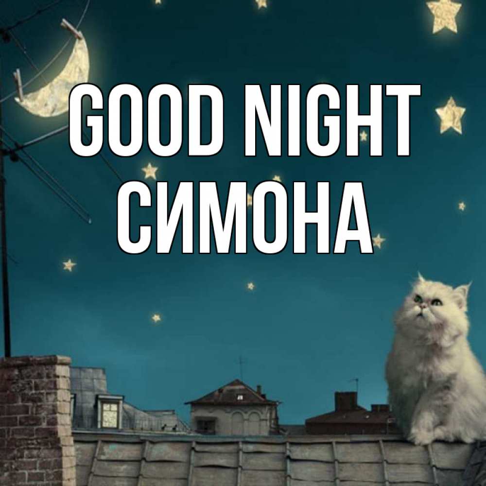 Greetings card с именем, Симона Good night белый кот сидит на крыше Greetings with text for free download 