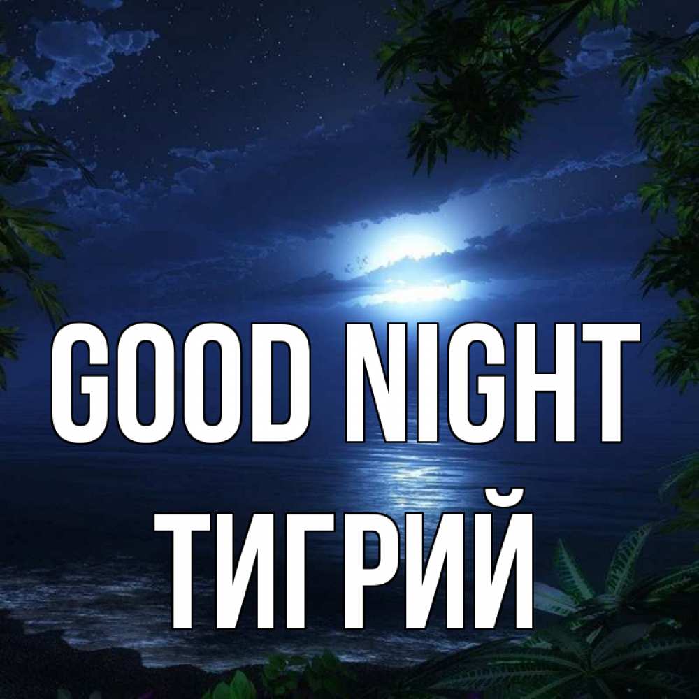 Greetings card с именем, Тигрий Good night тропический остров Greetings with text for free download 