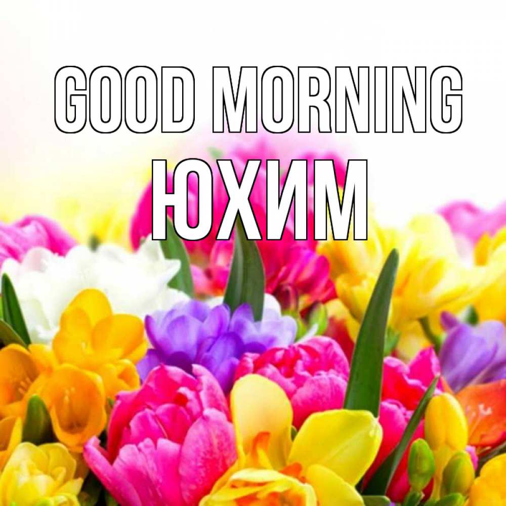 Greetings card с именем, Юхим Good morning создать открытку со свое подписью Greetings with text for free download 