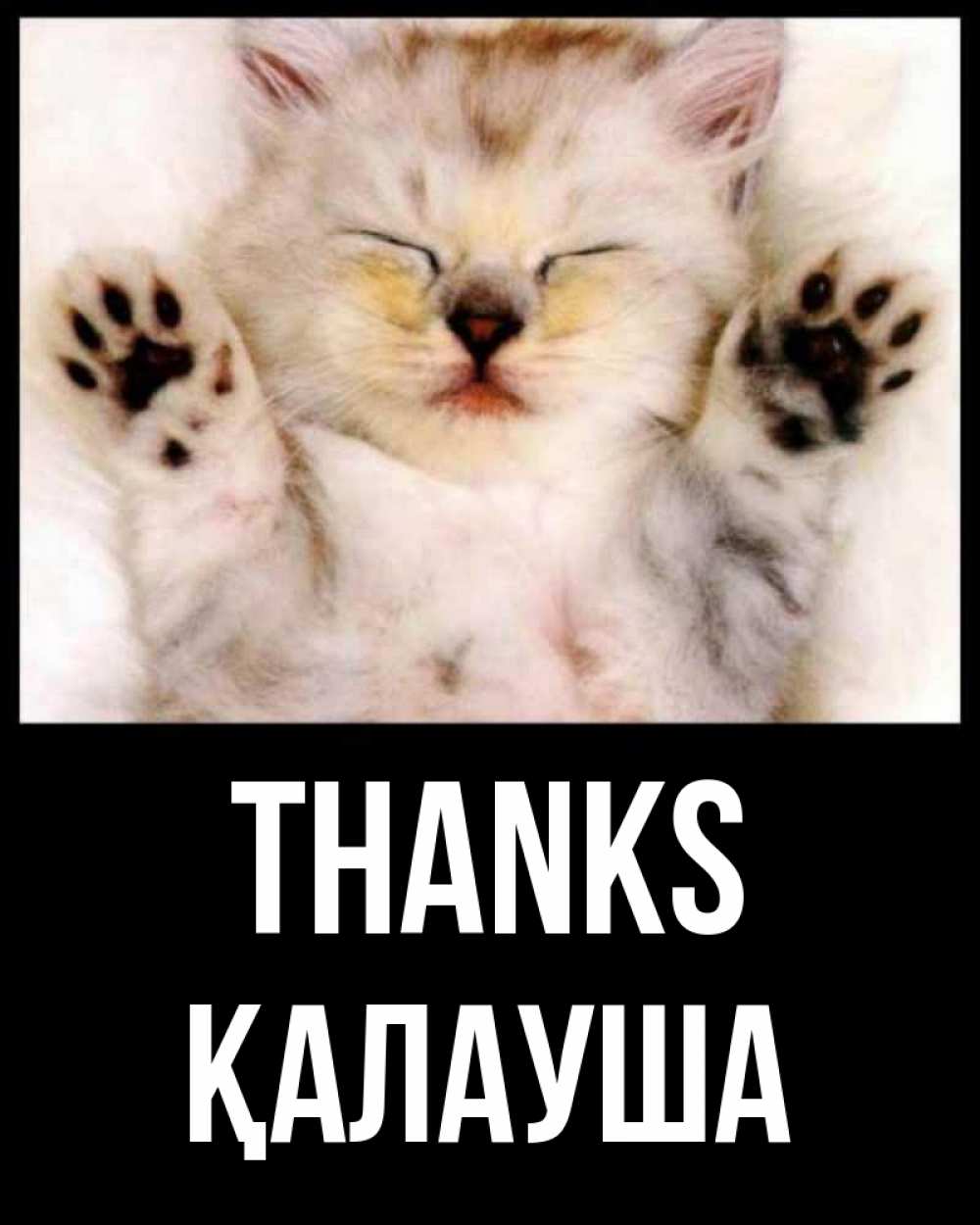 Greetings card с именем, Қалауша Thanks маленький котенок Greetings with text for free download 