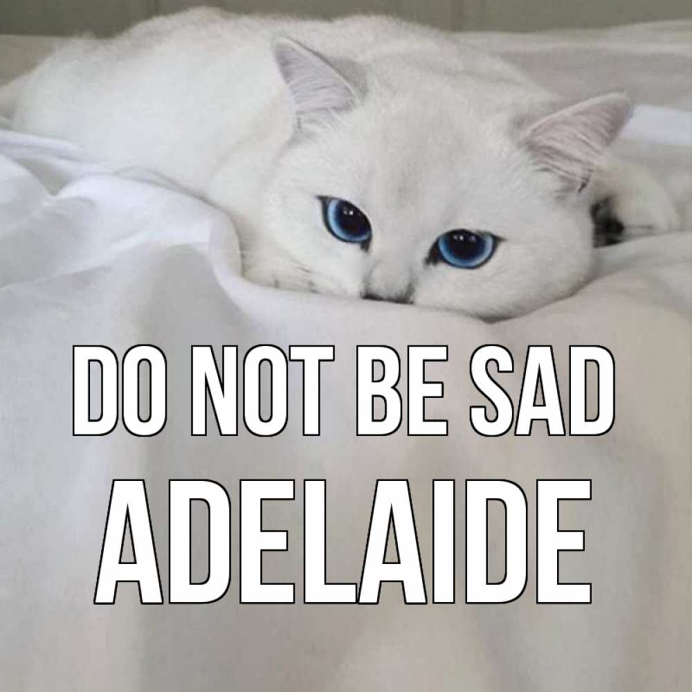 Greetings card с именем, Adelaide Do not be sad белый кот с голубыми глазами на белоснежной кровати Greetings with text for free download 