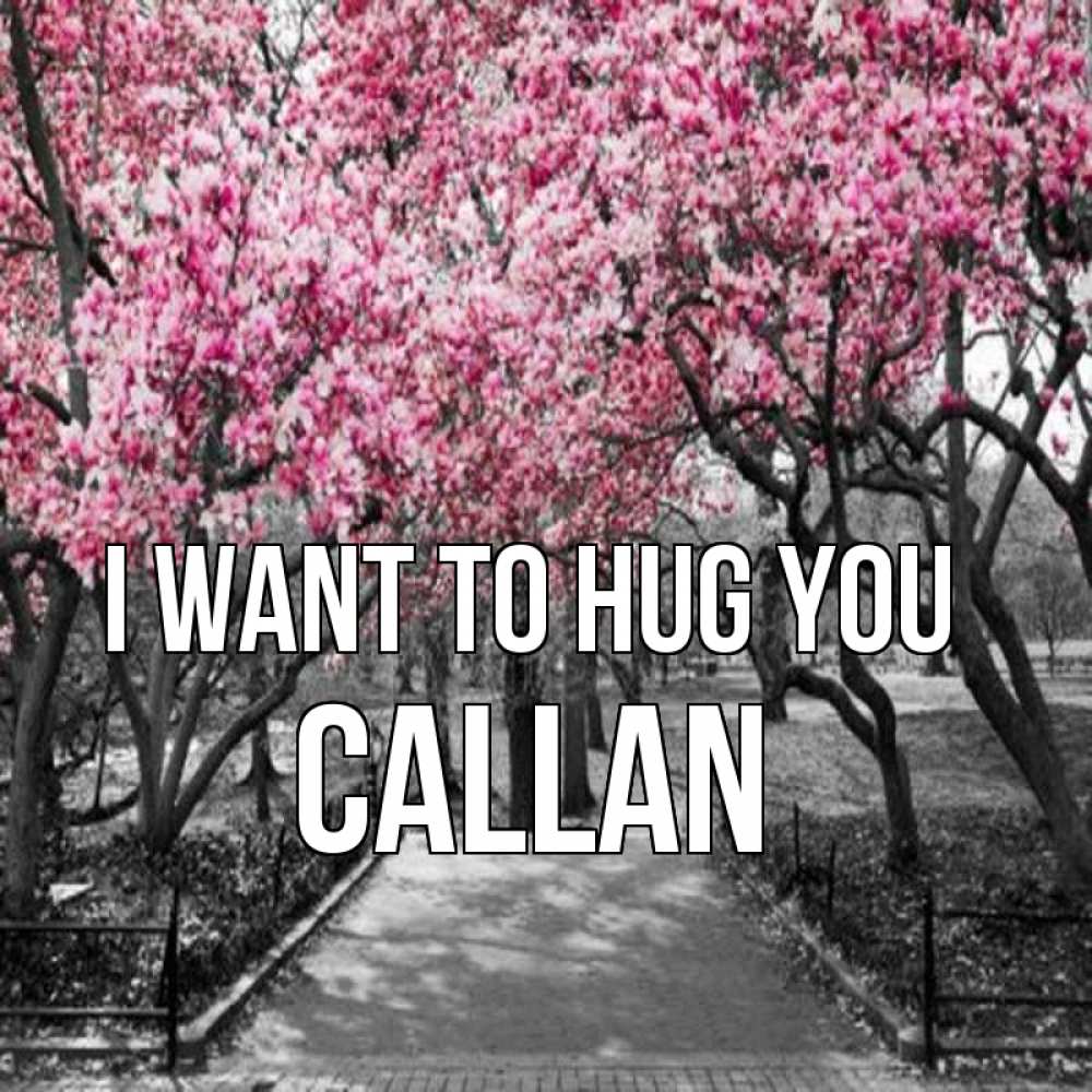 Greetings card с именем, Callan I want to hug you обработанное фото Greetings with text for free download 