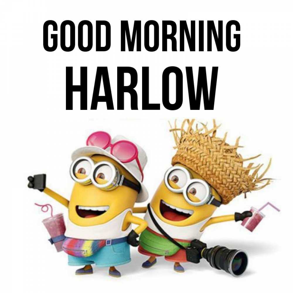 Greetings card с именем, Harlow Good morning карнавал Greetings with text for free download 