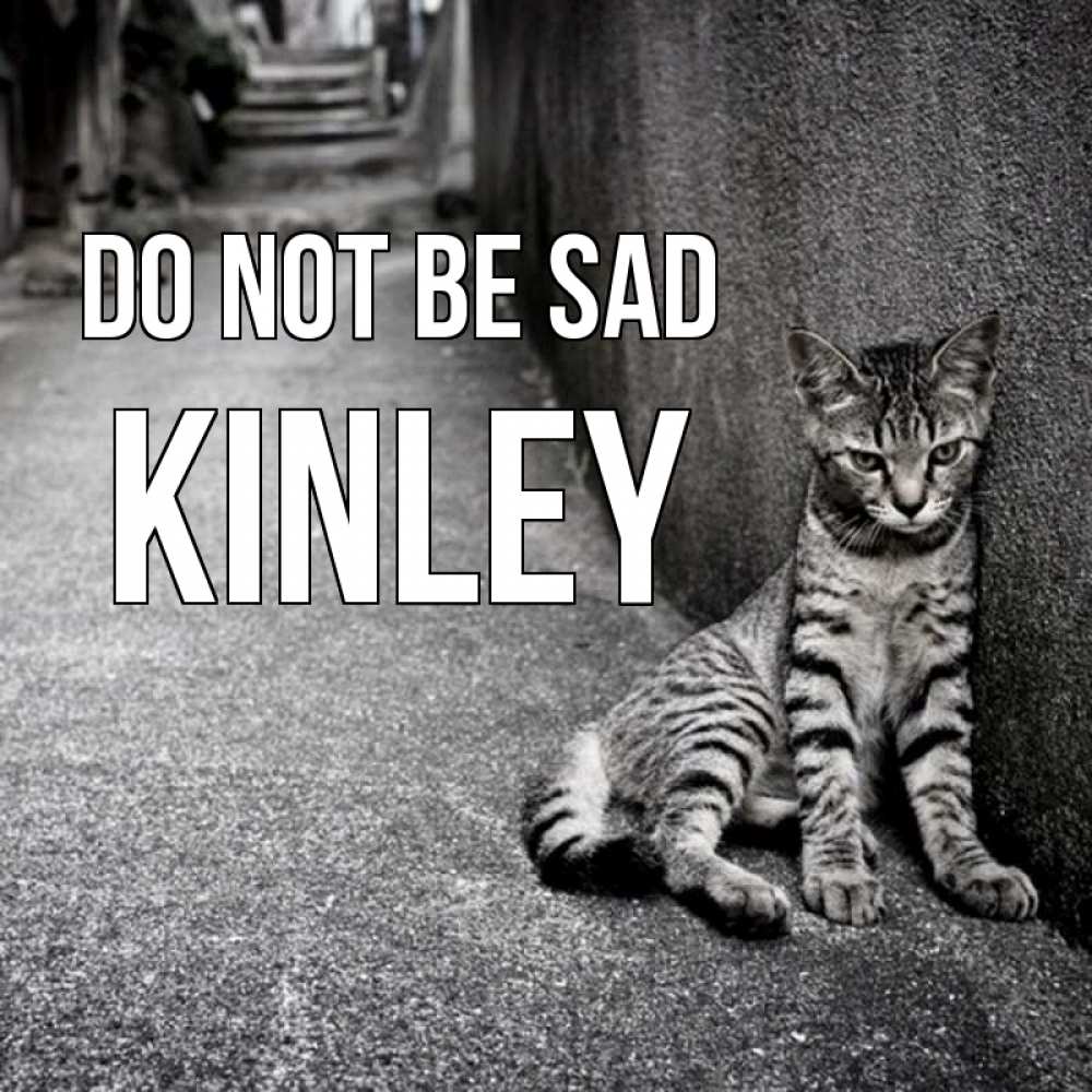 Greetings card с именем, Kinley Do not be sad скучающий котик Greetings with text for free download 
