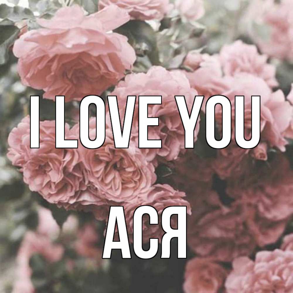 Greetings card с именем, Ася I love you розы 3 Greetings with text for free download 