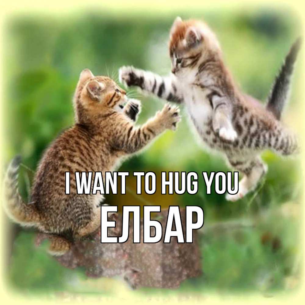 Greetings card с именем, Елбар I want to hug you игры котят Greetings with text for free download 