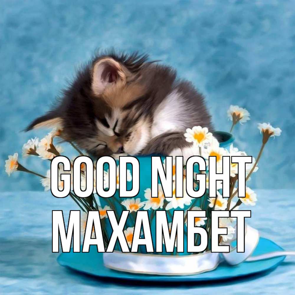 Greetings card с именем, МАХАМБЕТ Good night котенок спит в кружке с блюдцем Greetings with text for free download 