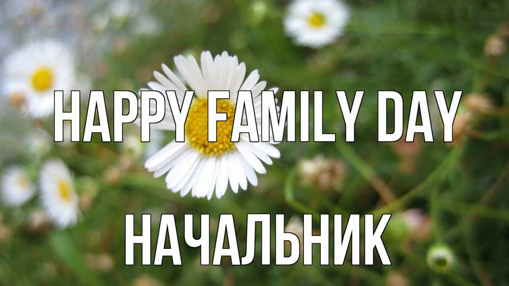 Greetings card с именем, Начальник happy family day с днем семьи Greetings with text for free download 