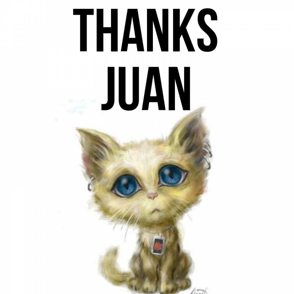 Greetings card с именем, Juan Thanks рисованный кот благодарит вас Greetings with text for free download 