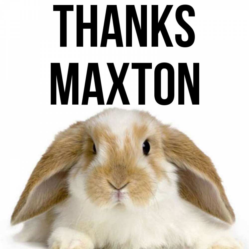 Greetings card с именем, Maxton Thanks коричнево белый заяц Greetings with text for free download 