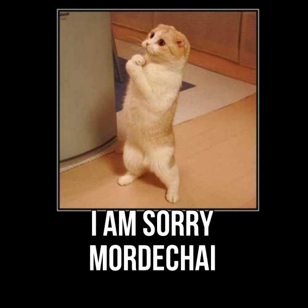 Greetings card с именем, Mordechai I am sorry открытка с милым несчастным котиком просящим прощения Greetings with text for free download 