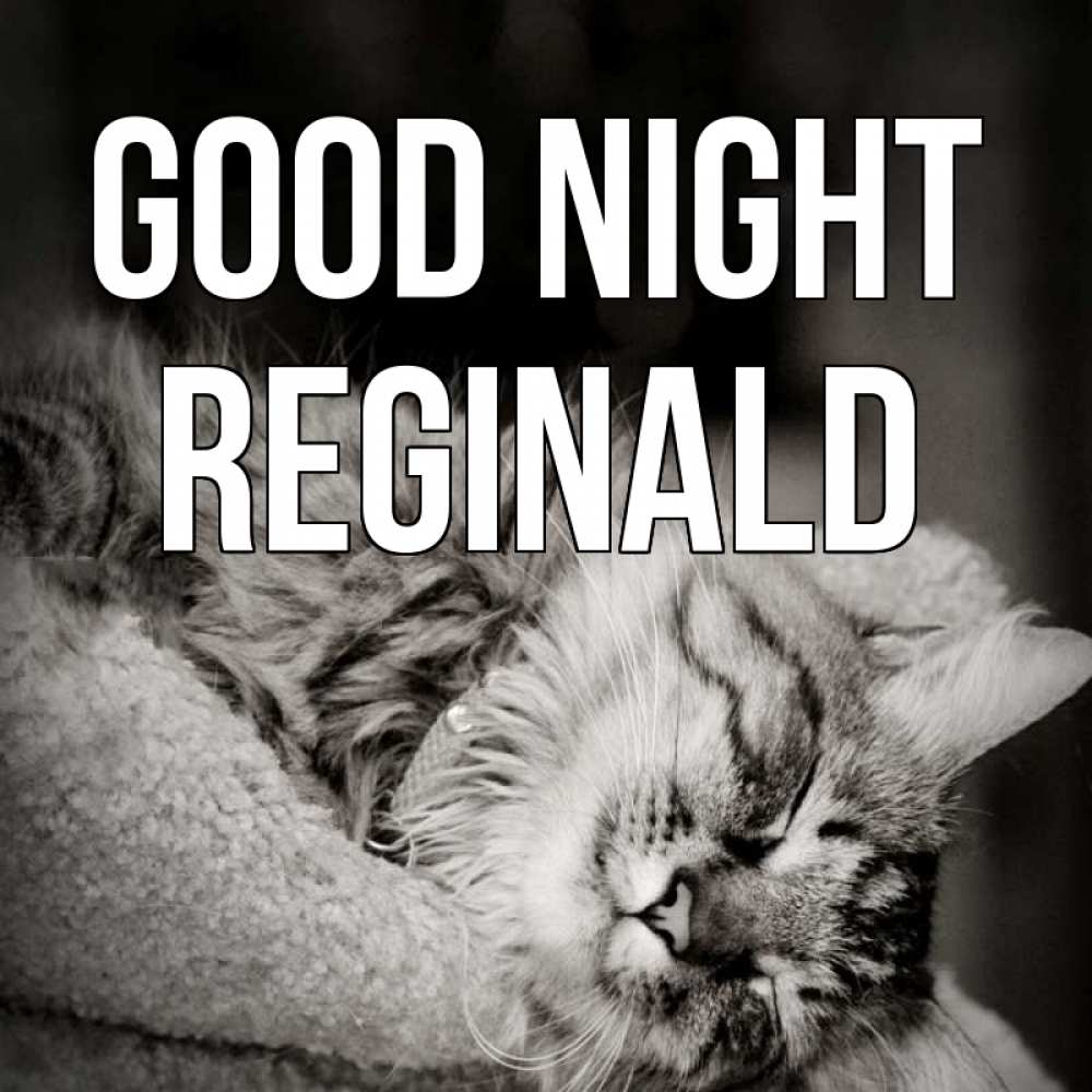 Greetings card с именем, Reginald Good night котярик пушистый Greetings with text for free download 