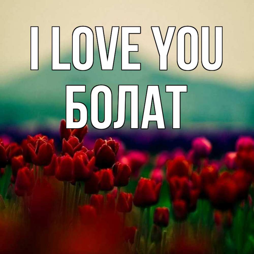Greetings card с именем, Болат I love you тюльпаны 4 Greetings with text for free download 