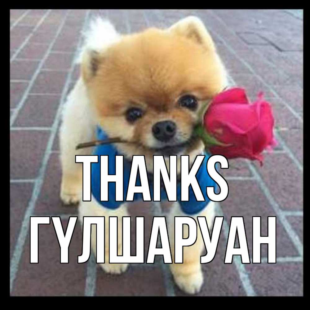 Greetings card с именем, ГҮЛШАРУАН Thanks спасибо и дарю тебе цветок Greetings with text for free download 
