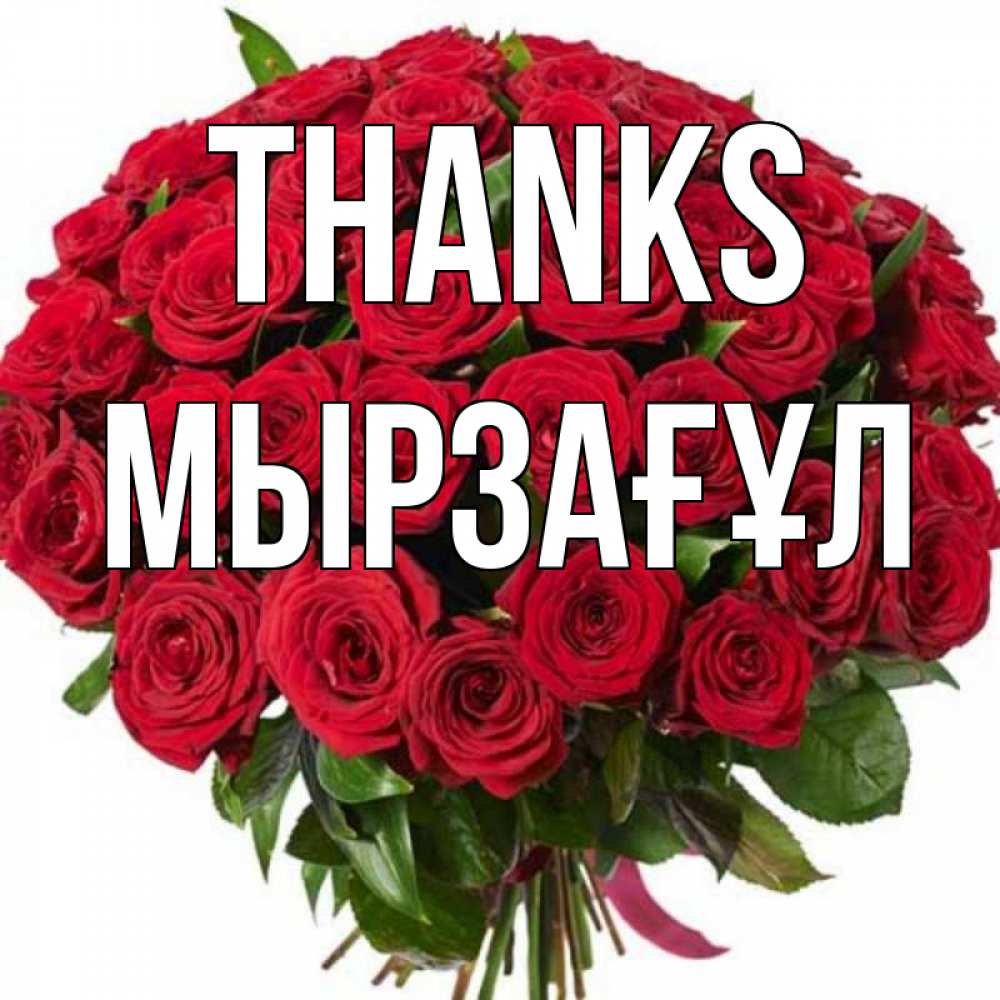 Greetings card с именем, Мырзағұл Thanks букет красных роз Greetings with text for free download 