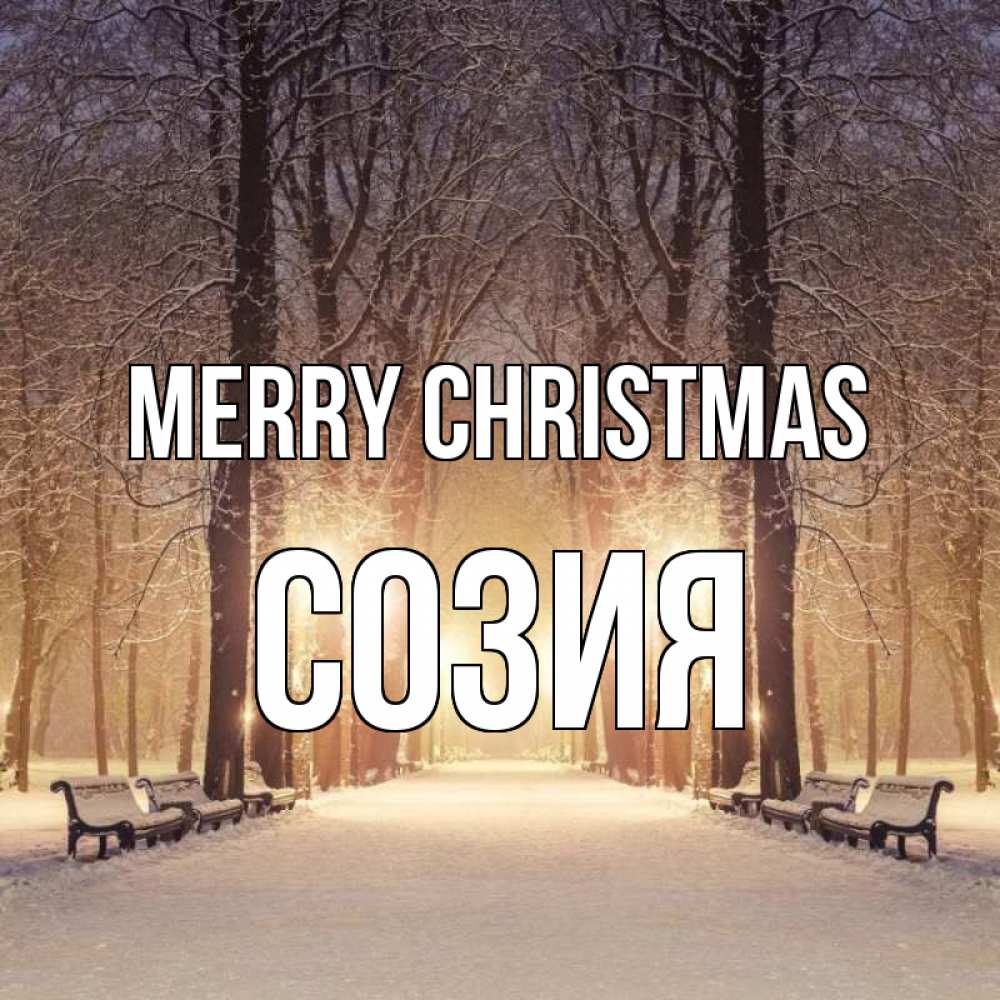 Greetings card с именем, Созия Merry Christmas зима, парк, фонарь, лес Greetings with text for free download 