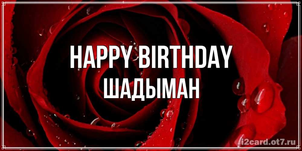 Greetings card с именем, ШАДЫМАН Happy Birthday крупная бордовая роза Greetings with text for free download 