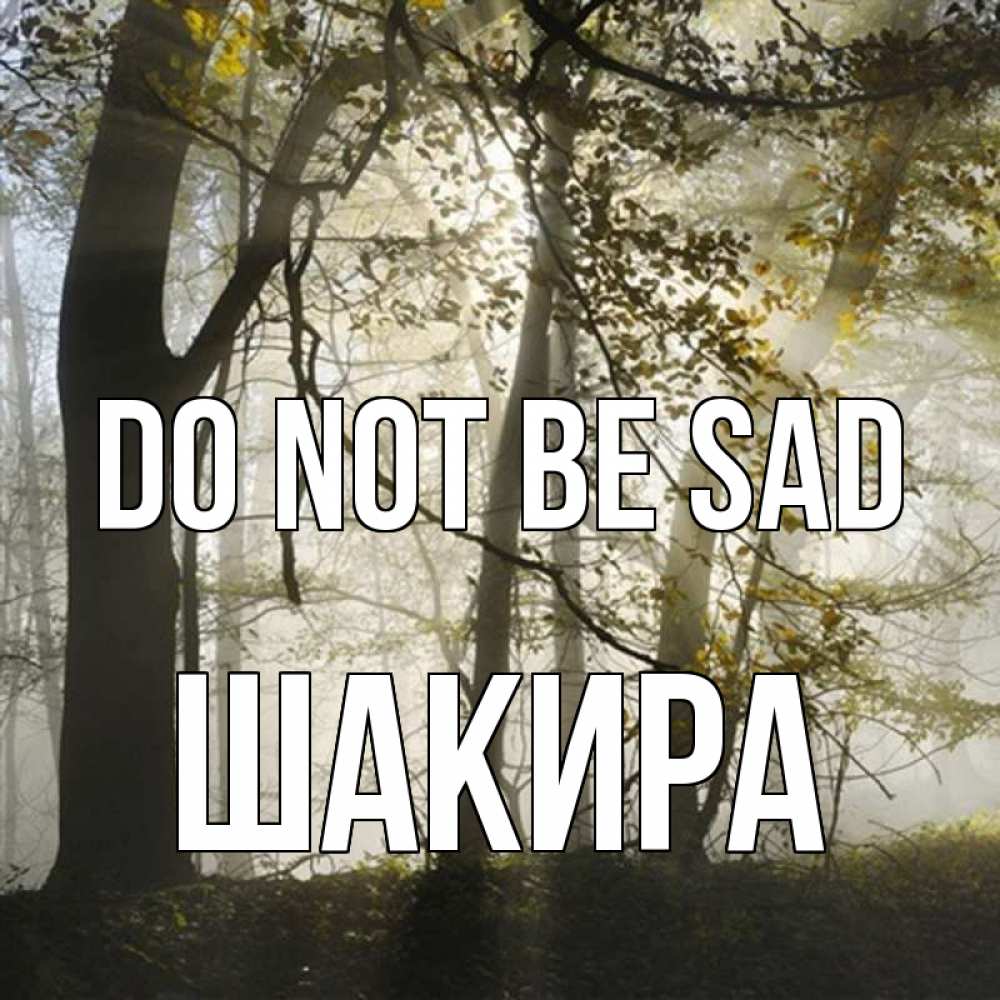 Greetings card с именем, Шакира Do not be sad лес и свет Greetings with text for free download 