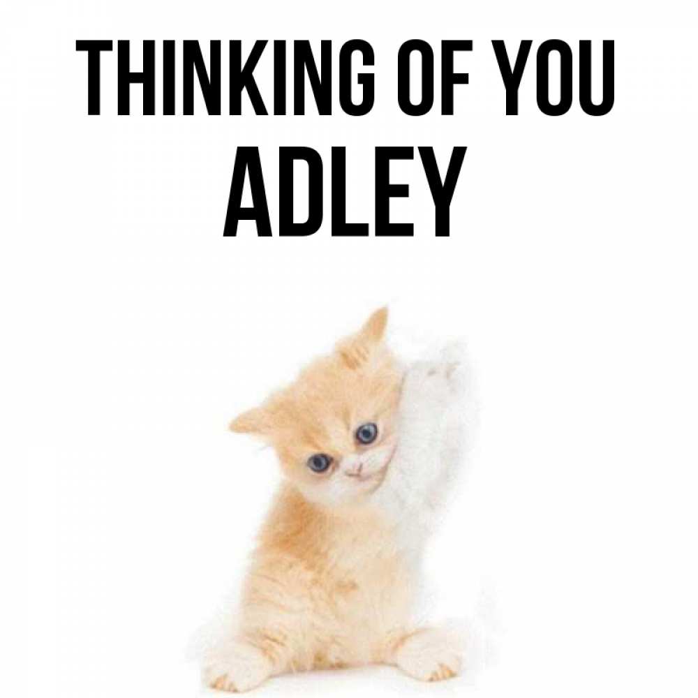 Greetings card с именем, Adley Thinking of you зверушки и милота Greetings with text for free download 