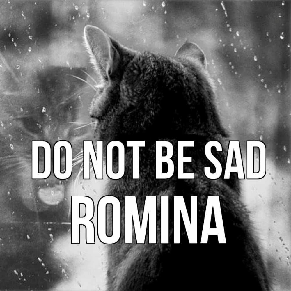 Greetings card с именем, Romina Do not be sad отражение кота 1 Greetings with text for free download 
