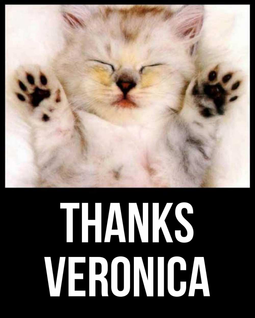 Greetings card с именем, Veronica Thanks маленький котенок Greetings with text for free download 