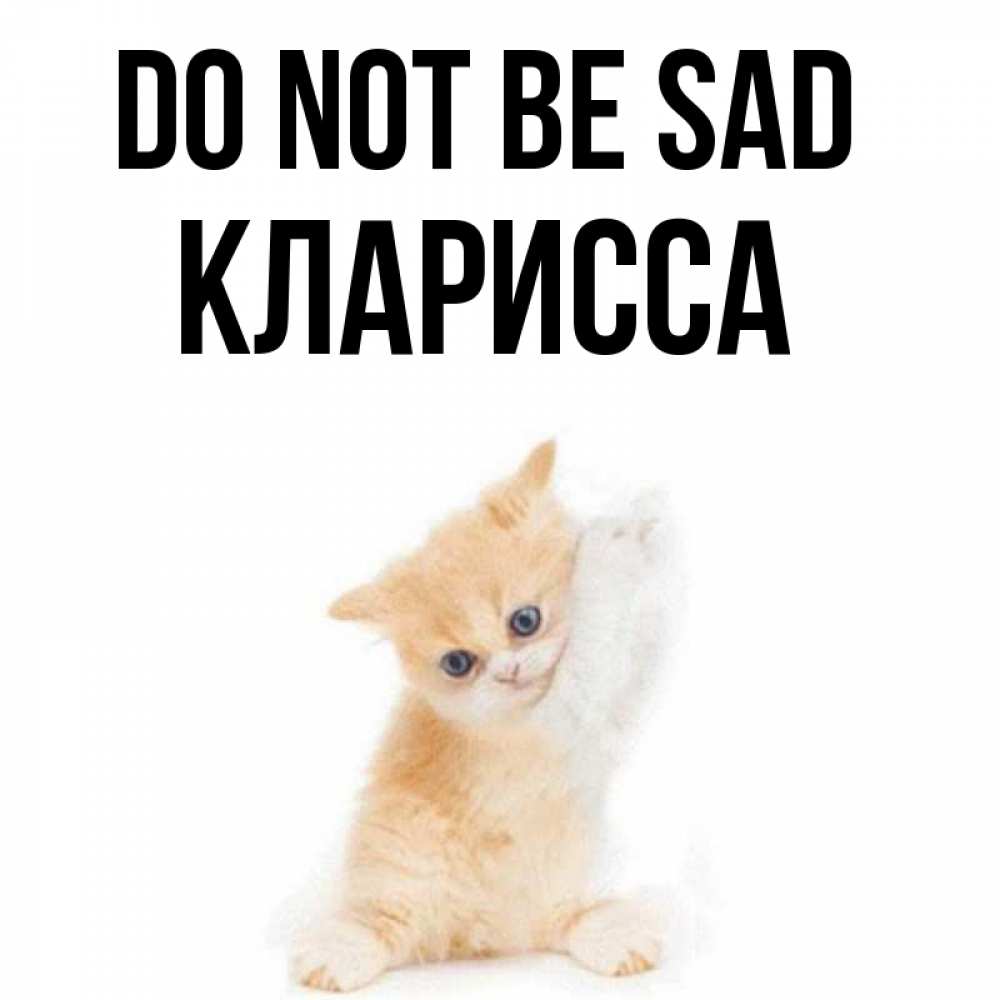 Greetings card с именем, Кларисса Do not be sad просящий кот Greetings with text for free download 