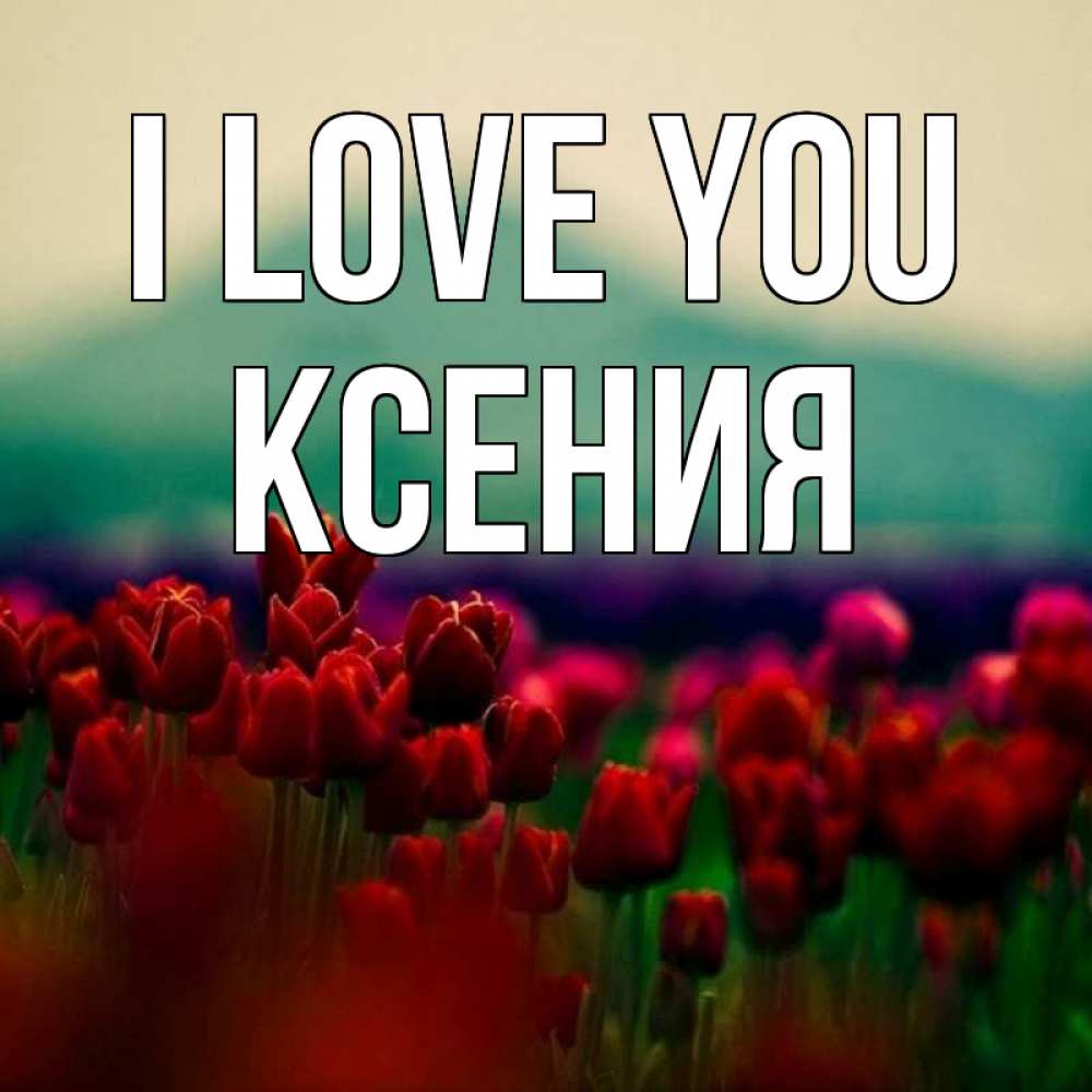 Greetings card с именем, Ксения I love you тюльпаны 4 Greetings with text for free download 