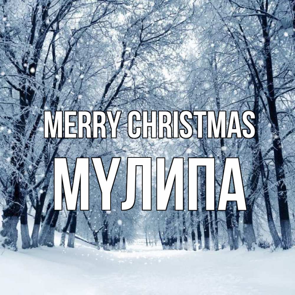 Greetings card с именем, МҮЛИПА Merry Christmas снег, лес, парк Greetings with text for free download 