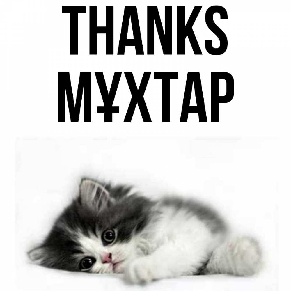 Greetings card с именем, МҰХТАР Thanks черный и белый кот Greetings with text for free download 