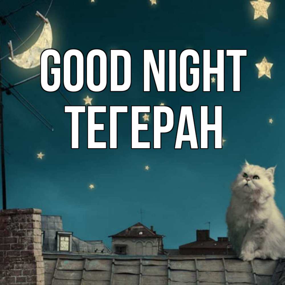 Greetings card с именем, ТЕГЕРАН Good night белый кот сидит на крыше Greetings with text for free download 