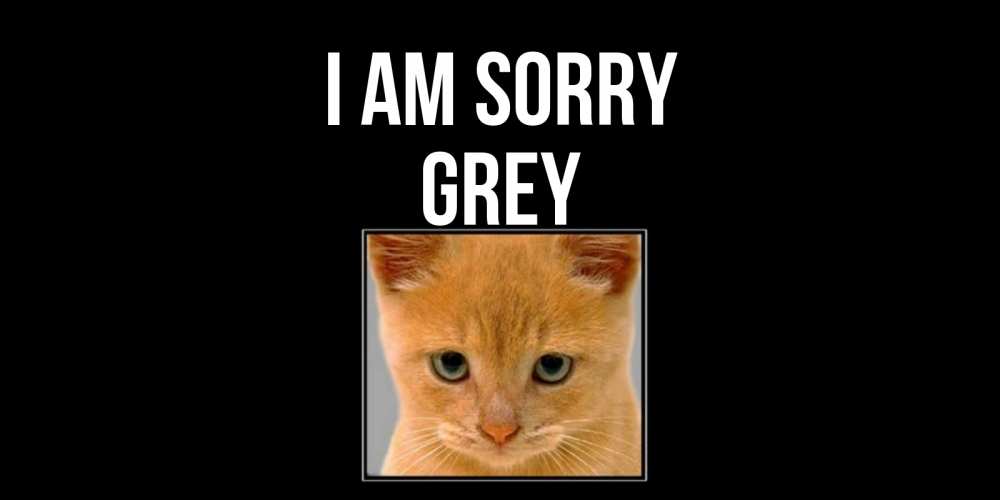 Greetings card с именем, Grey I am sorry рыжий грустный кот просит прощения Greetings with text for free download 