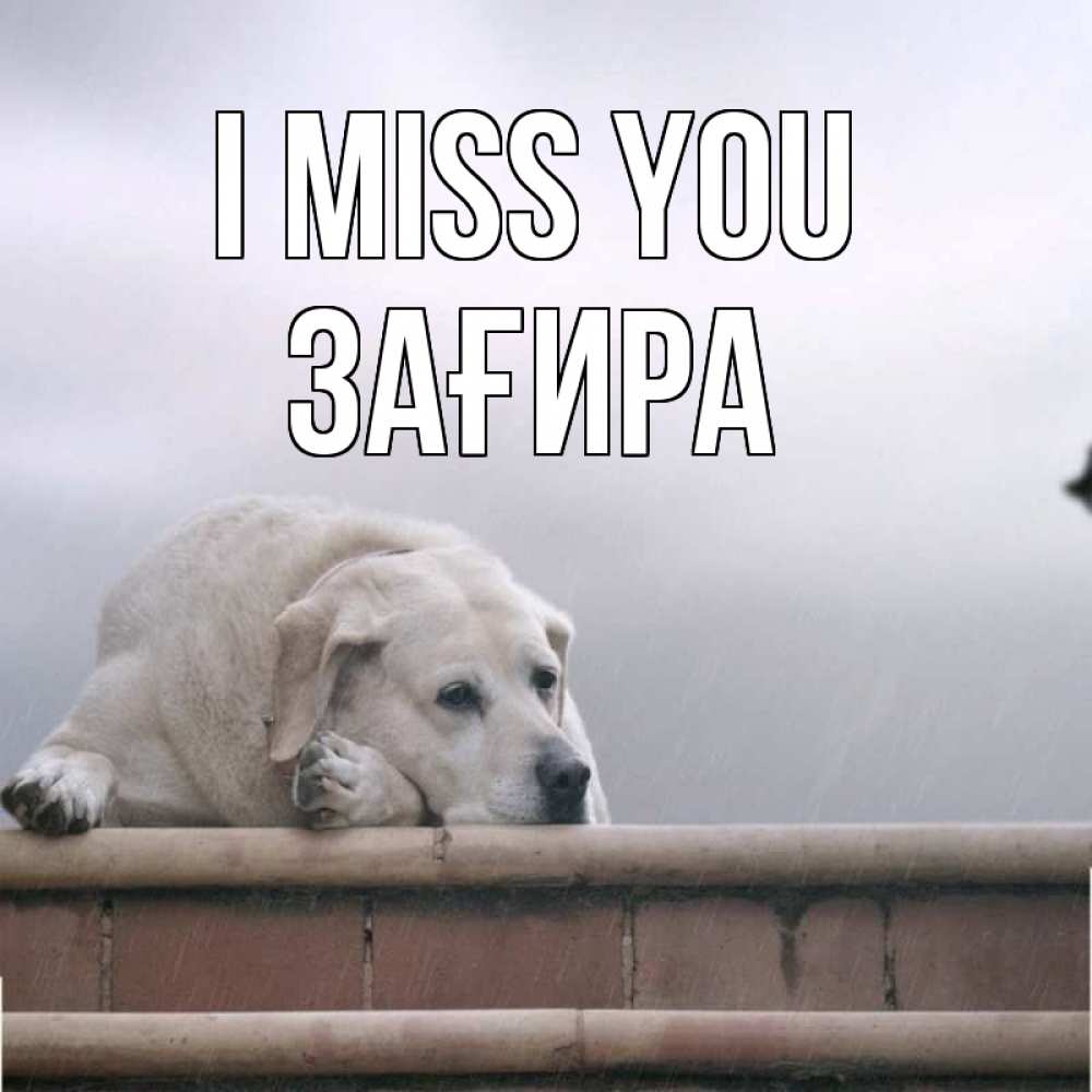 Greetings card с именем, ЗАҒИРА I miss you ждет Greetings with text for free download 