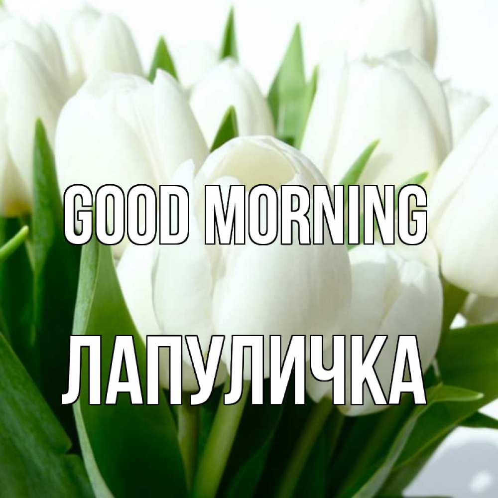 Greetings card с именем, Лапуличка Good morning открытки на каждый день по именам Greetings with text for free download 