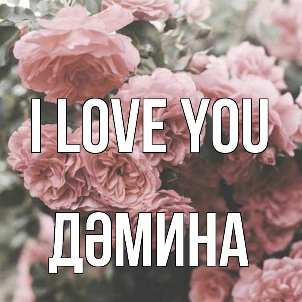 Greetings card с именем, ДӘМИНА I love you розы 3 Greetings with text for free download 