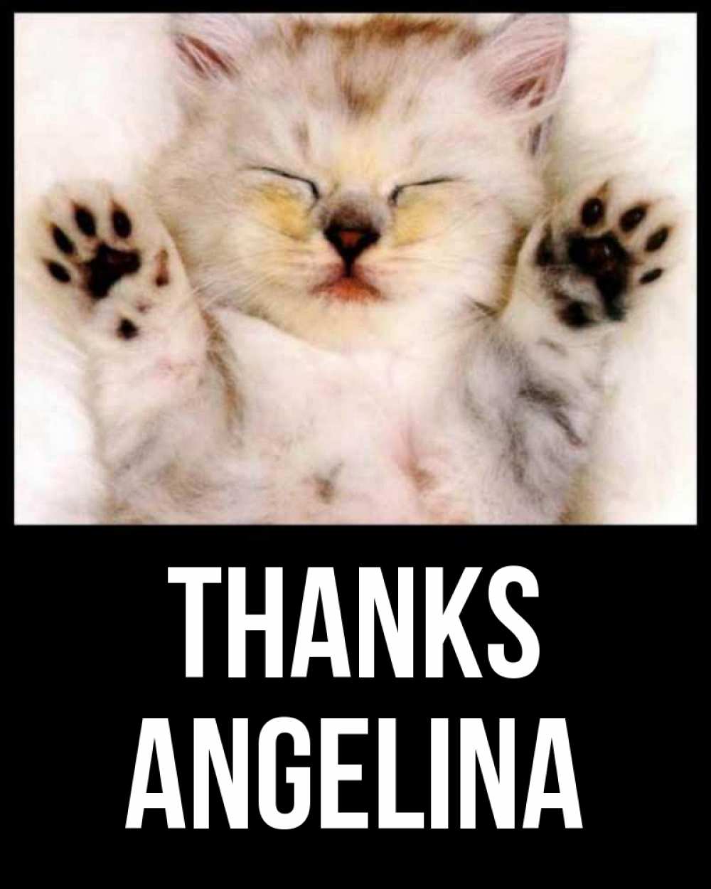 Greetings card с именем, Angelina Thanks маленький котенок Greetings with text for free download 