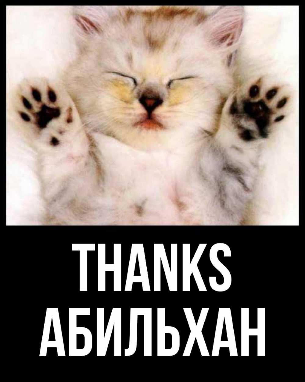 Greetings card с именем, Абильхан Thanks маленький котенок Greetings with text for free download 