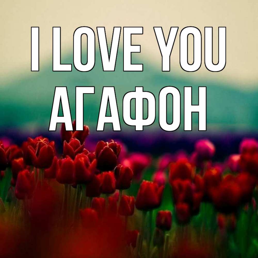 Greetings card с именем, Агафон I love you тюльпаны 4 Greetings with text for free download 