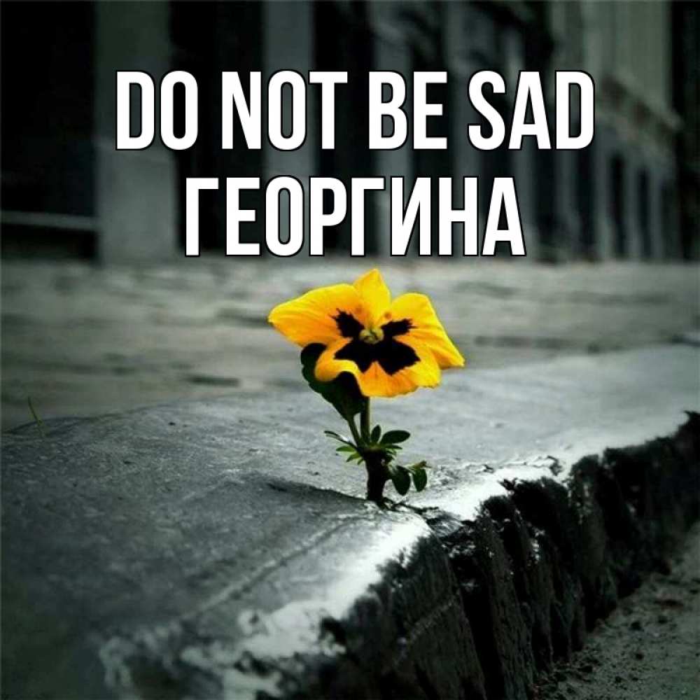 Greetings card с именем, Георгина Do not be sad не сдавайся Greetings with text for free download 