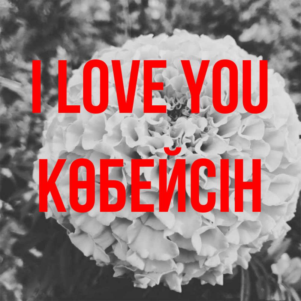 Greetings card с именем, Көбейсін I love you подпись Greetings with text for free download 