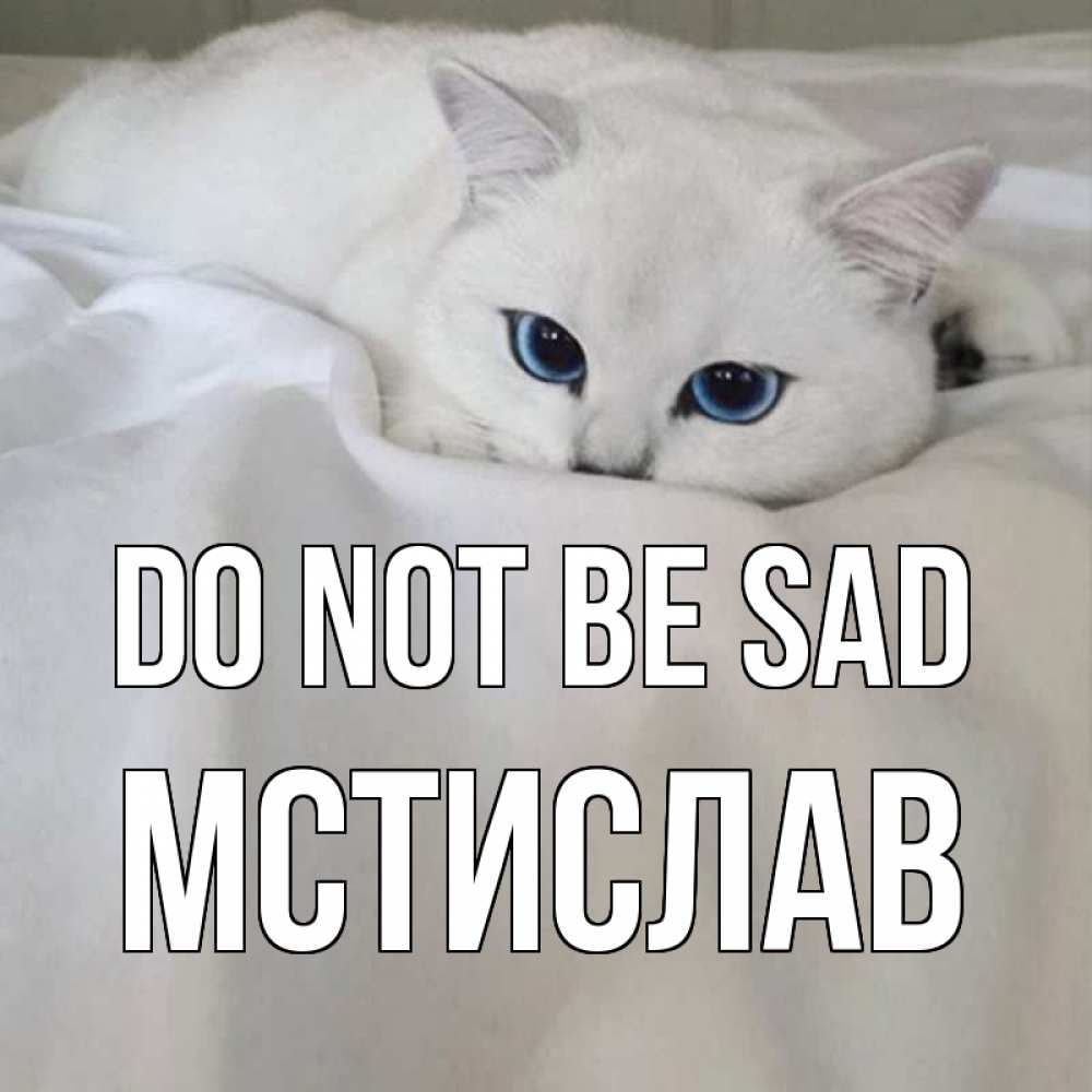 Greetings card с именем, Мстислав Do not be sad белый кот с голубыми глазами на белоснежной кровати Greetings with text for free download 
