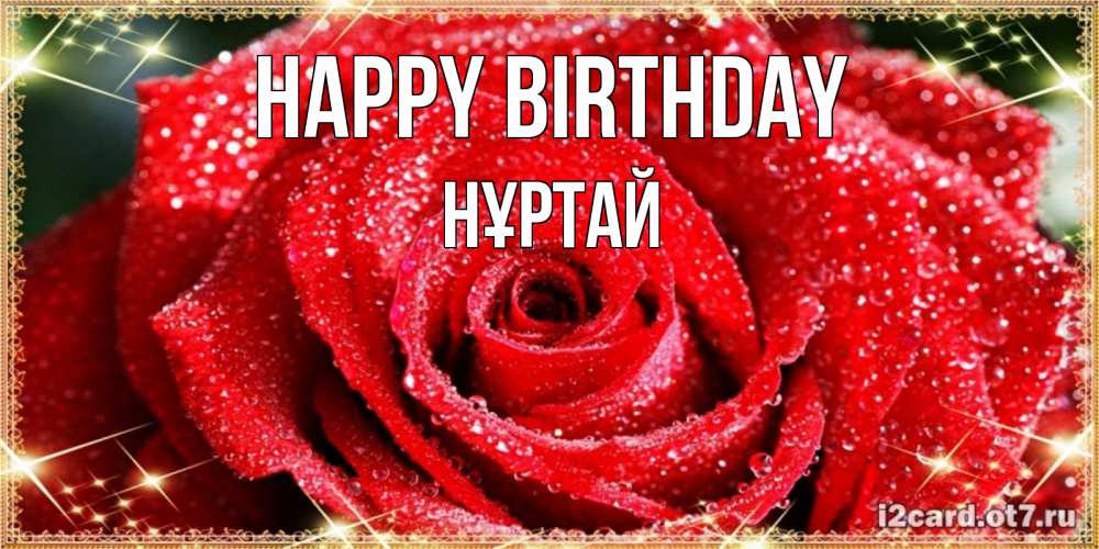 Greetings card с именем, Нұртай Happy Birthday роса и роза. открытка с красивой розой Greetings with text for free download 