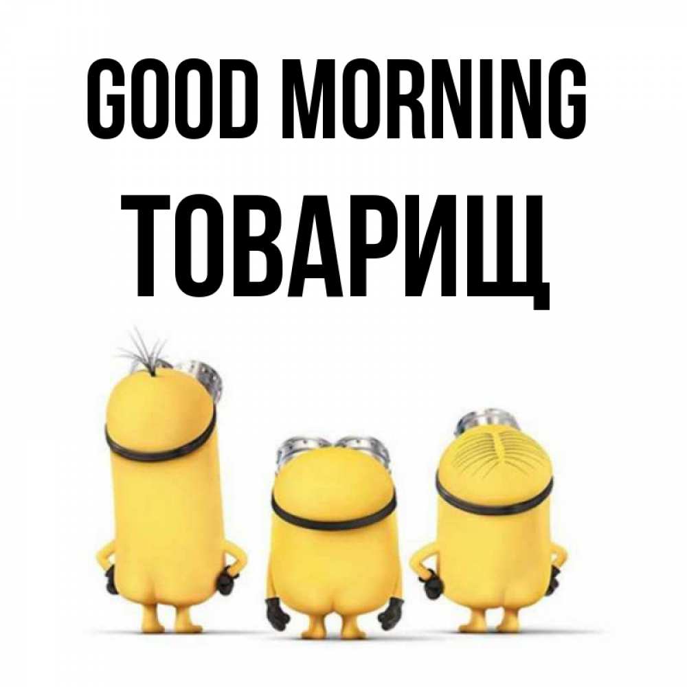 Greetings card с именем, Товарищ Good morning подписать открытку онлайн бесплатно Greetings with text for free download 